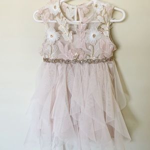 Baby Girl Dress flower girl / wedding/ occasion